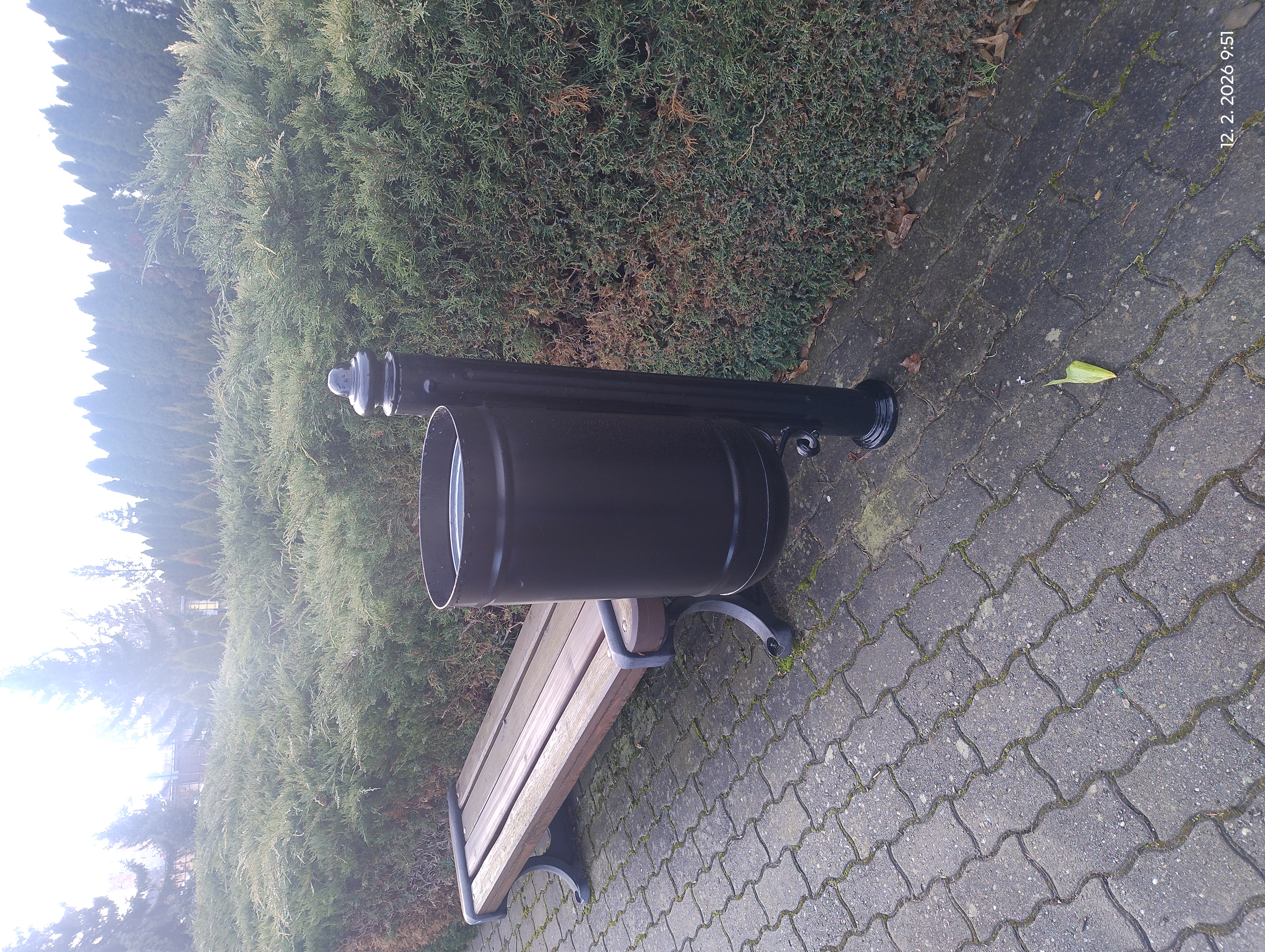 1000003096.jpg