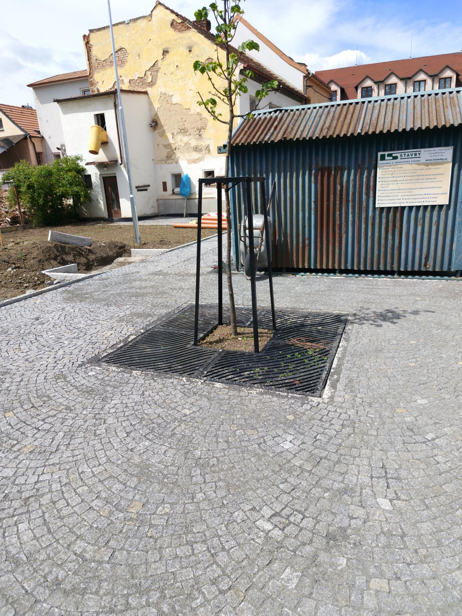 1000028337.jpg