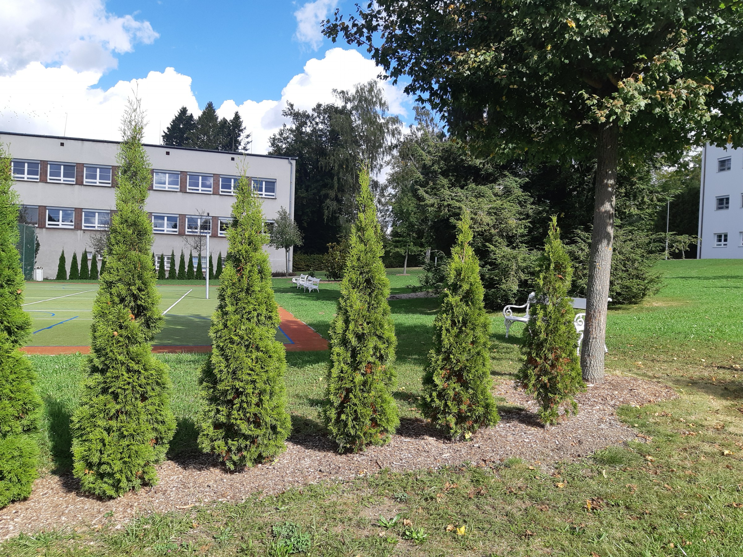Jihlava