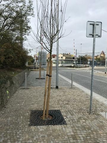 &Uacute;valy