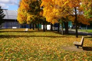 DSC02533.jpg