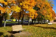 DSC02539.jpg