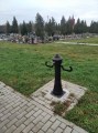 P&iacute;tko Hydrant_product
